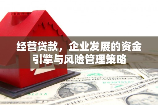 罗东经营贷款，企业发展的资金引擎与风险管理策略