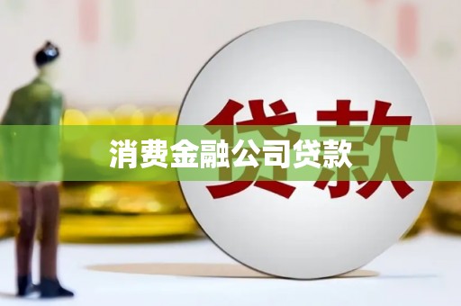 罗东消费金融公司贷款