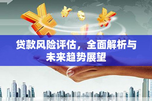 罗东贷款风险评估，全面解析与未来趋势展望