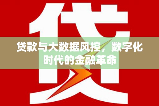 罗东贷款与大数据风控，数字化时代的金融革命