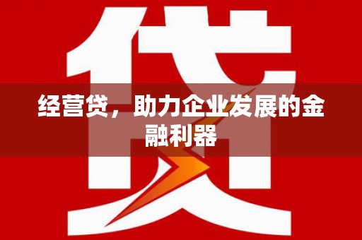 罗东经营贷，助力企业发展的金融利器