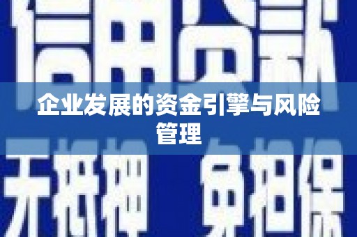 罗东企业发展的资金引擎与风险管理