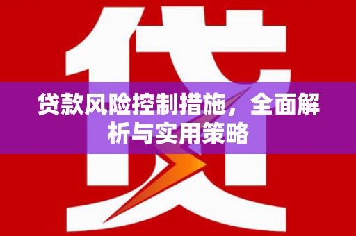 罗东贷款风险控制措施，全面解析与实用策略
