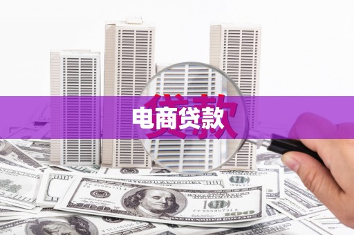 罗东电商贷款