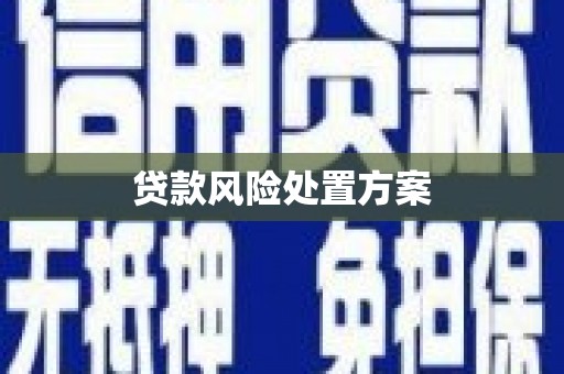 罗东贷款风险处置方案
