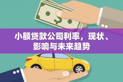 罗东小额贷款公司利率，现状、影响与未来趋势