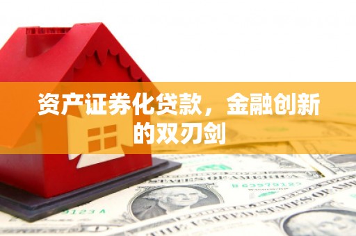 罗东资产证券化贷款，金融创新的双刃剑