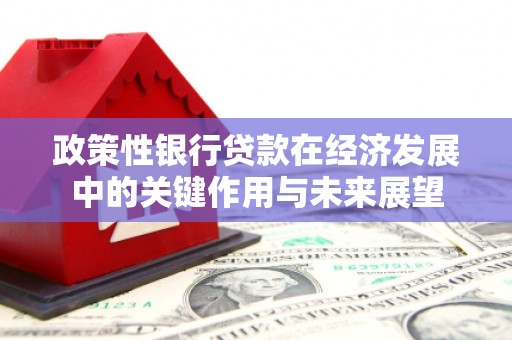 罗东政策性银行贷款在经济发展中的关键作用与未来展望