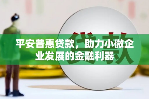 罗东平安普惠贷款，助力小微企业发展的金融利器