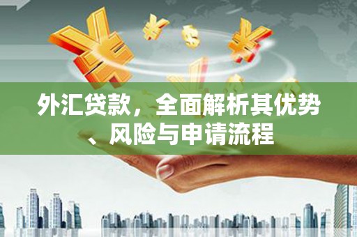 罗东外汇贷款，全面解析其优势、风险与申请流程