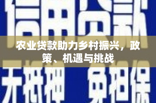 罗东农业贷款助力乡村振兴，政策、机遇与挑战