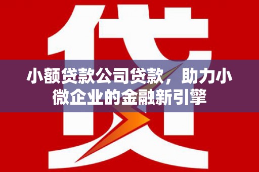 罗东小额贷款公司贷款，助力小微企业的金融新引擎