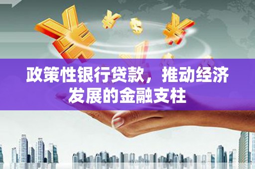 罗东政策性银行贷款，推动经济发展的金融支柱