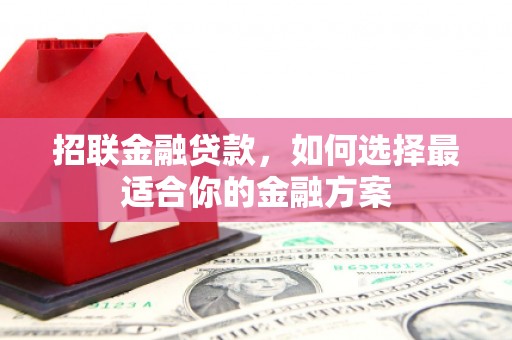 罗东招联金融贷款，如何选择最适合你的金融方案