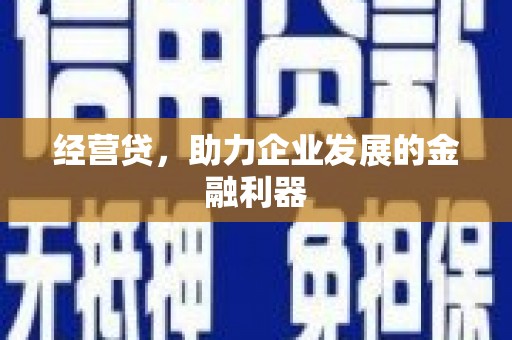 罗东经营贷，助力企业发展的金融利器