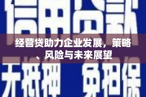 罗东经营贷助力企业发展，策略、风险与未来展望