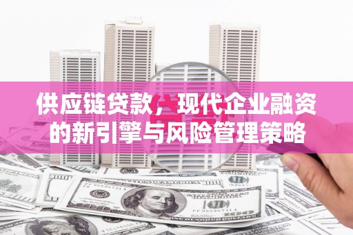 罗东供应链贷款，现代企业融资的新引擎与风险管理策略