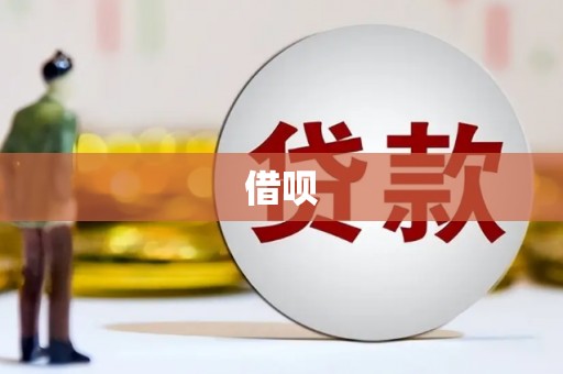 罗东借呗
