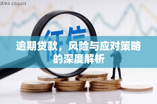 罗东逾期贷款，风险与应对策略的深度解析