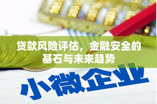 罗东贷款风险评估，金融安全的基石与未来趋势