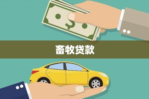 罗东畜牧贷款