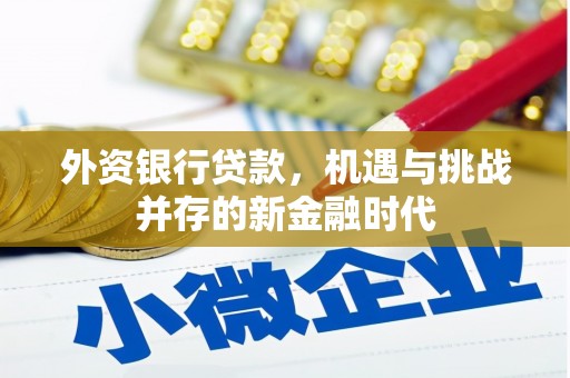 罗东外资银行贷款，机遇与挑战并存的新金融时代