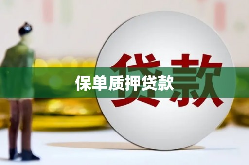 罗东保单质押贷款