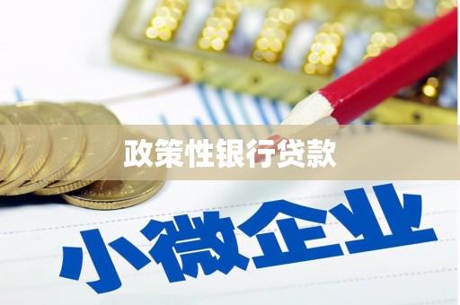 罗东政策性银行贷款