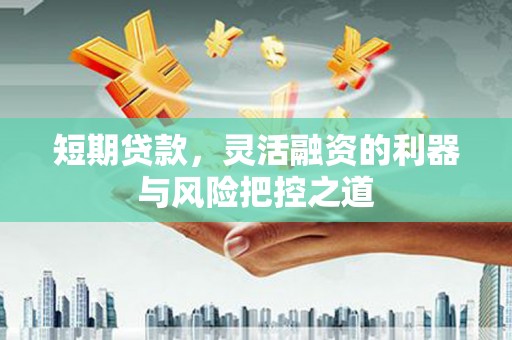 罗东短期贷款，灵活融资的利器与风险把控之道