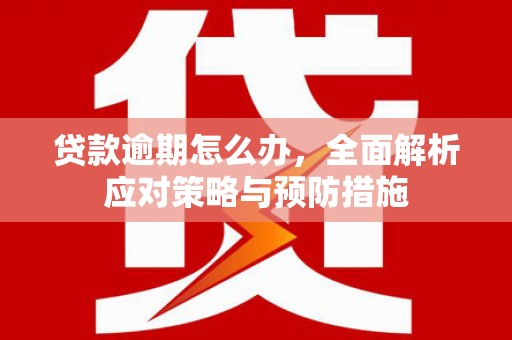 罗东贷款逾期怎么办，全面解析应对策略与预防措施