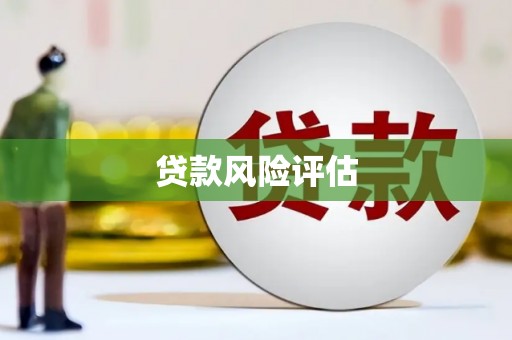 罗东贷款风险评估