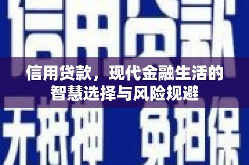罗东信用贷款，现代金融生活的智慧选择与风险规避
