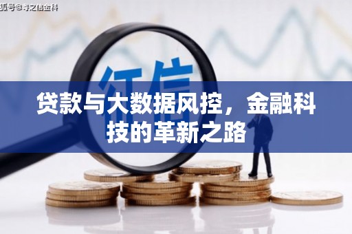 罗东贷款与大数据风控，金融科技的革新之路