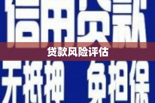 罗东贷款风险评估