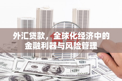 罗东外汇贷款，全球化经济中的金融利器与风险管理