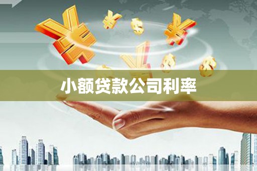 罗东小额贷款公司利率