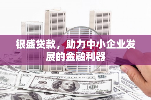 罗东银盛贷款，助力中小企业发展的金融利器