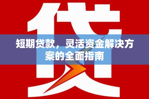 罗东短期贷款，灵活资金解决方案的全面指南