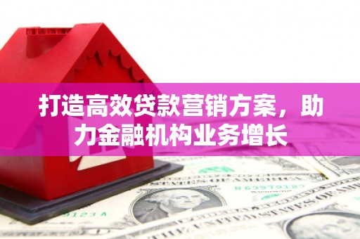 罗东打造高效贷款营销方案，助力金融机构业务增长