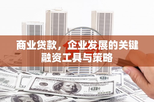 罗东商业贷款，企业发展的关键融资工具与策略