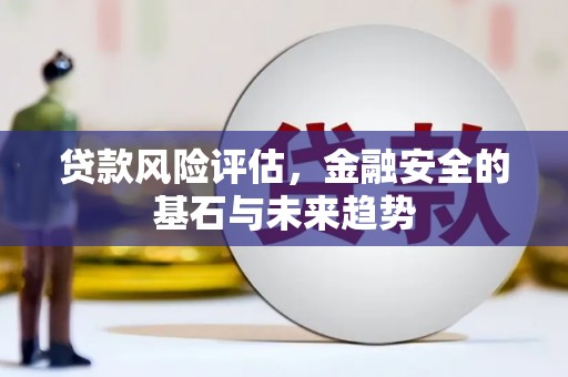 罗东贷款风险评估，金融安全的基石与未来趋势
