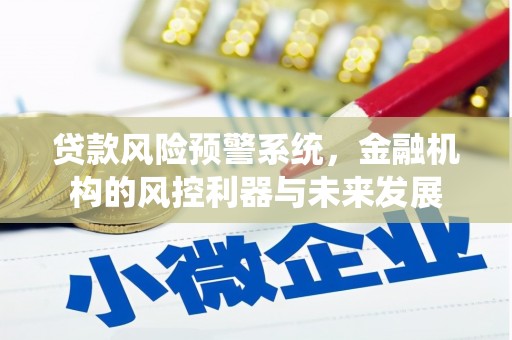 罗东贷款风险预警系统，金融机构的风控利器与未来发展