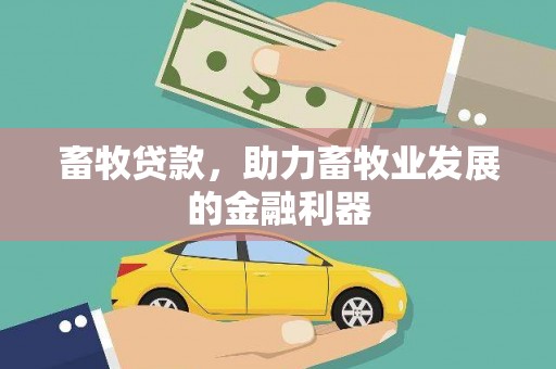 罗东畜牧贷款，助力畜牧业发展的金融利器