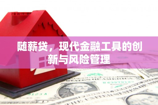 罗东随薪贷，现代金融工具的创新与风险管理
