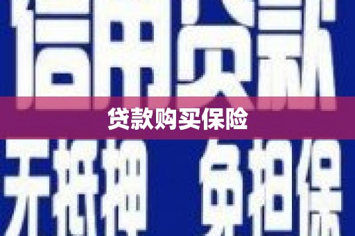 罗东贷款购买保险