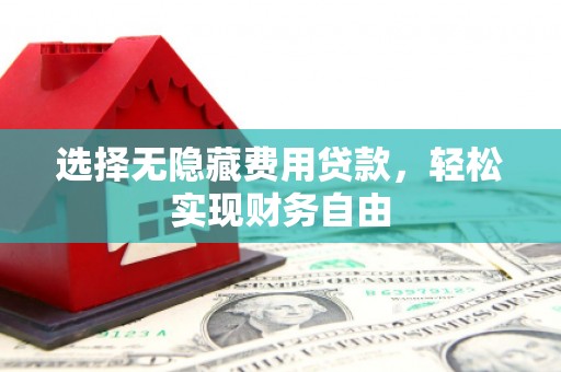 罗东选择无隐藏费用贷款，轻松实现财务自由