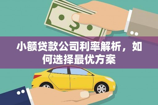 罗东小额贷款公司利率解析，如何选择最优方案