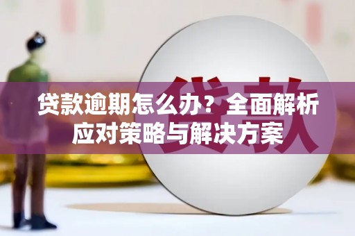 罗东贷款逾期怎么办？全面解析应对策略与解决方案
