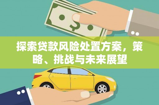 罗东探索贷款风险处置方案，策略、挑战与未来展望