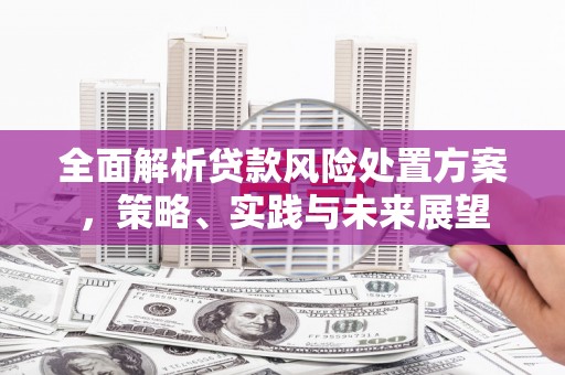 罗东全面解析贷款风险处置方案，策略、实践与未来展望